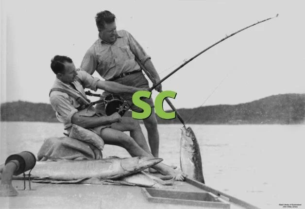 What Does SC Mean in Text & Chat