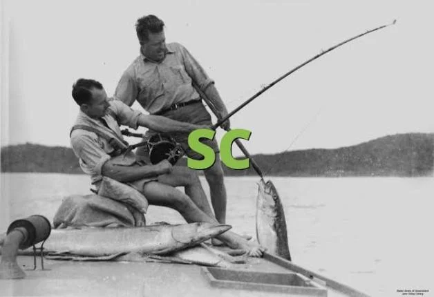 SC Meaning in Text: What Does “SC” Mean in Chat