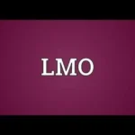 LMO Meaning in Text: What Does LMO Mean in Chat and Social Media