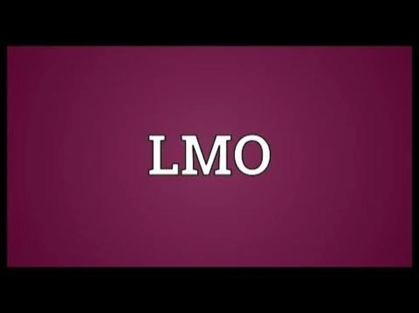 LMO Meaning in Text: What Does LMO Mean in Chat and Social Media